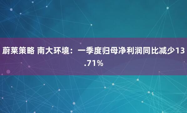 蔚莱策略 南大环境：一季度归母净利润同比减少13.71%
