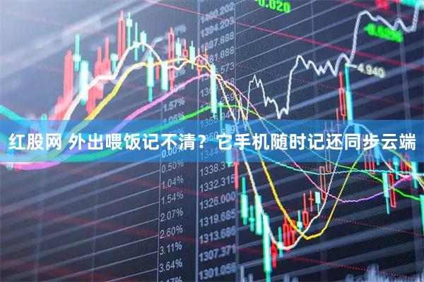 红股网 外出喂饭记不清？它手机随时记还同步云端