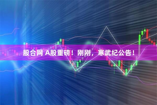 股合网 A股重磅！刚刚，寒武纪公告！