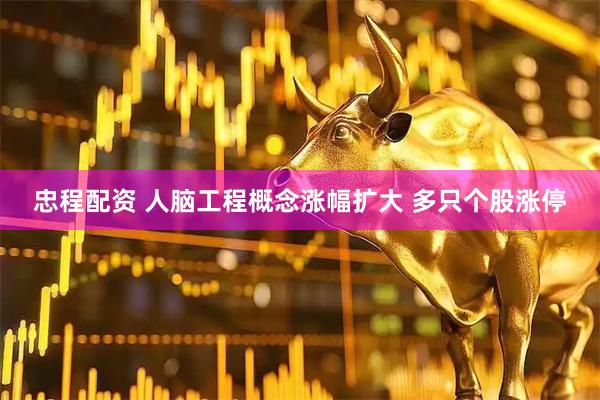 忠程配资 人脑工程概念涨幅扩大 多只个股涨停