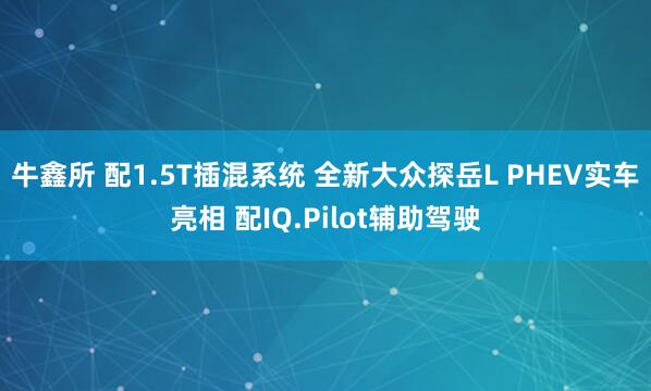 牛鑫所 配1.5T插混系统 全新大众探岳L PHEV实车亮相 配IQ.Pilot辅助驾驶