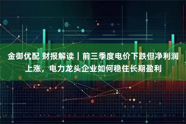 金御优配 财报解读｜前三季度电价下跌但净利润上涨，电力龙头企业如何稳住长期盈利