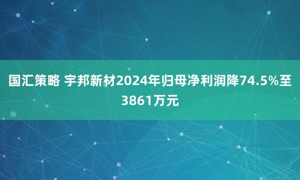 国汇策略 宇邦新材2024年归母净利润降74.5%至3861万元