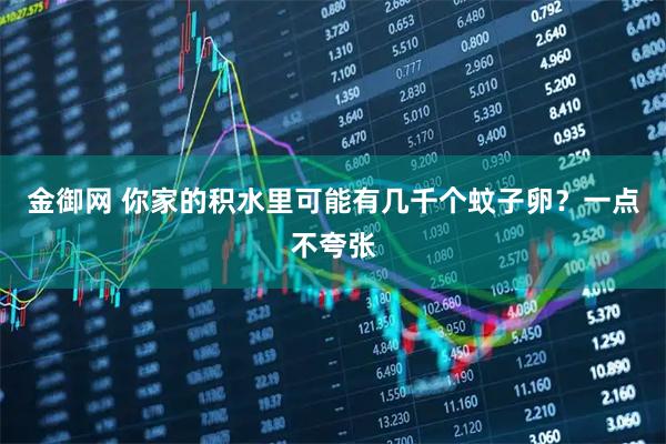 金御网 你家的积水里可能有几千个蚊子卵?一点不夸张