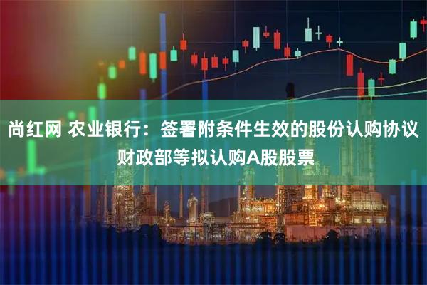 尚红网 农业银行：签署附条件生效的股份认购协议 财政部等拟认购A股股票